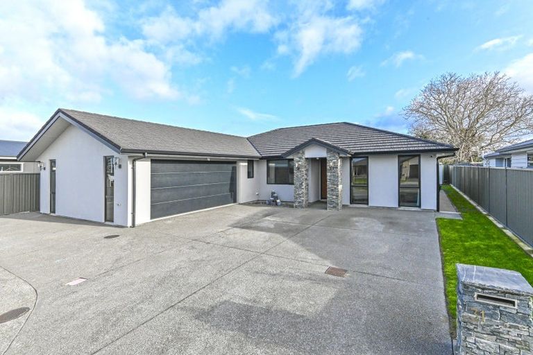 Photo of property in 31 Lochhead Street, Mahora, Hastings, 4120