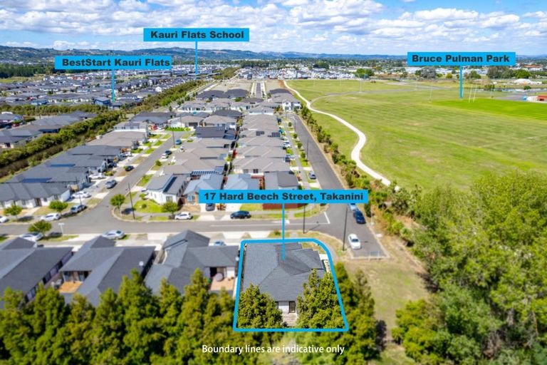 Photo of property in 17 Hard Beech Street, Takanini, 2110