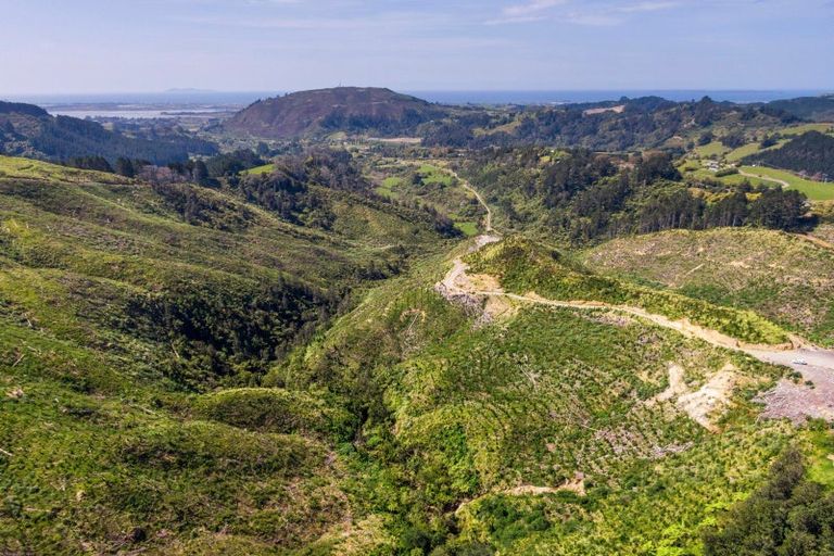 Photo of property in 316b Waitao Road, Waitao, Tauranga, 3175