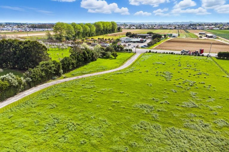 Photo of property in 74 Arapaepae Road, Levin, 5510