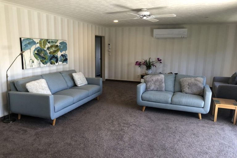 Photo of property in 115 Auckland Road, Greenmeadows, Napier, 4112