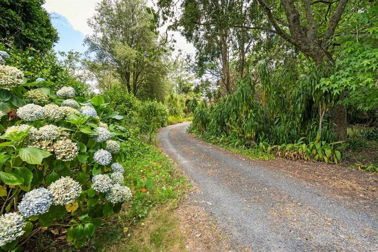 Photo of property in 290 Paihia Road, Kawakawa, 0282