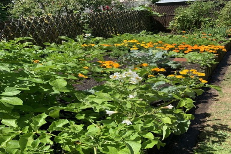 Photo of property in 31 Dale Road, Raumati South, Paraparaumu, 5032