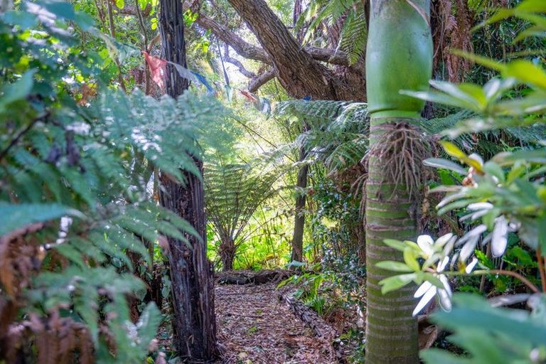 Photo of property in 15 Alexander Street, Waikanae, 5036