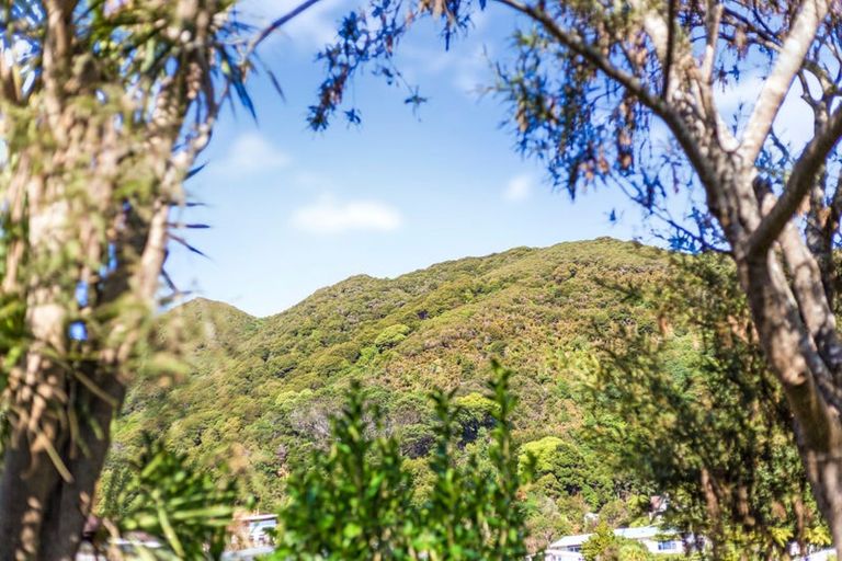 Photo of property in 2 Cleary Street, Waterloo, Lower Hutt, 5011