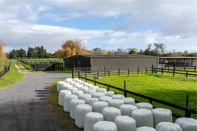 Photo of property in 204 Racecourse Road, Cambridge, 3493