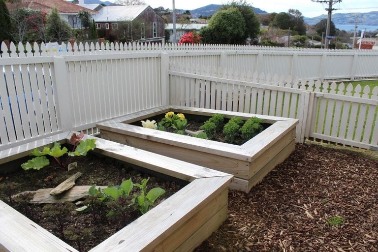 Photo of property in 53 Hawthorn Avenue, Mornington, Dunedin, 9011