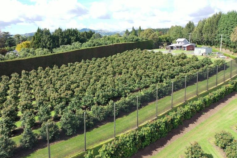 Photo of property in 14 Merrick Road, Pyes Pa, Tauranga, 3173