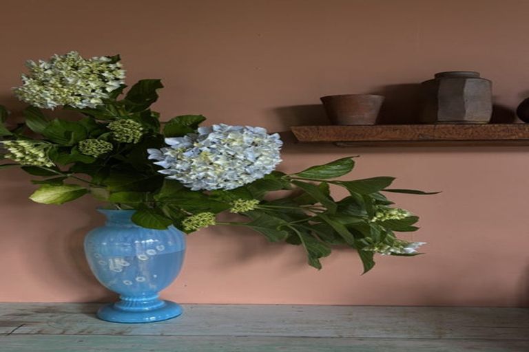 Photo of property in 448 Katui Road, Donnellys Crossing, Dargaville, 0379