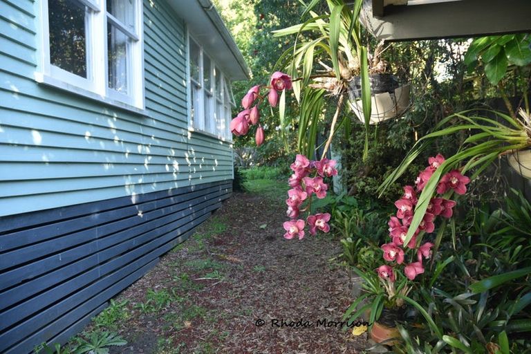 Photo of property in 46 Sandy Beach Road, Tinopai, Matakohe, 0593