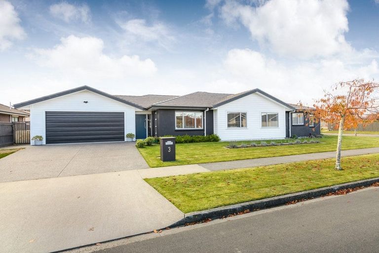 Photo of property in 3 Accolade Street, Feilding, 4702