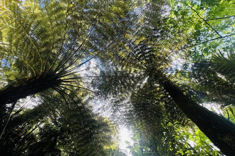 Photo of property in 275 Lillis Lane, Coromandel, 3506