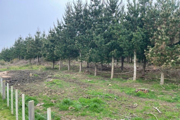 Photo of property in 1387 Santoft Road, Santoft, Bulls, 4894