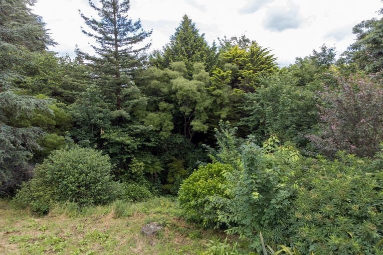 Photo of property in 59 Manuka Street, Lansdowne, Masterton, 5810