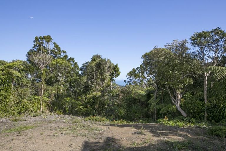 Photo of property in 28 La Trobe Track, Karekare, Auckland, 0772
