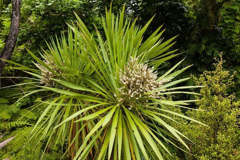 Photo of property in 16 Ranginui Street, Mangonui, 0420