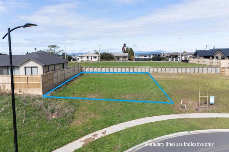 Photo of property in 211 Korimako Drive, Te Awamutu, 3800