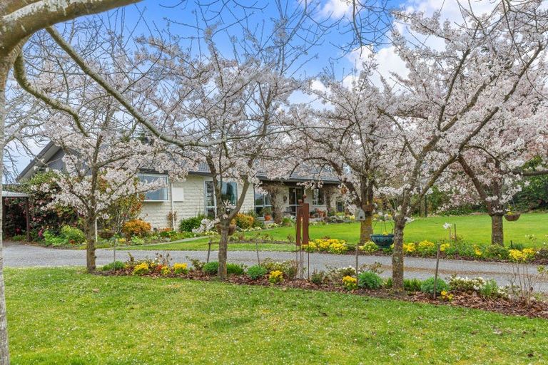 Photo of property in 11 Orchard Place, Clarkville, Kaiapoi, 7691