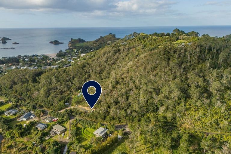 Photo of property in 25 Orchard Road, Hahei, Whitianga, 3591
