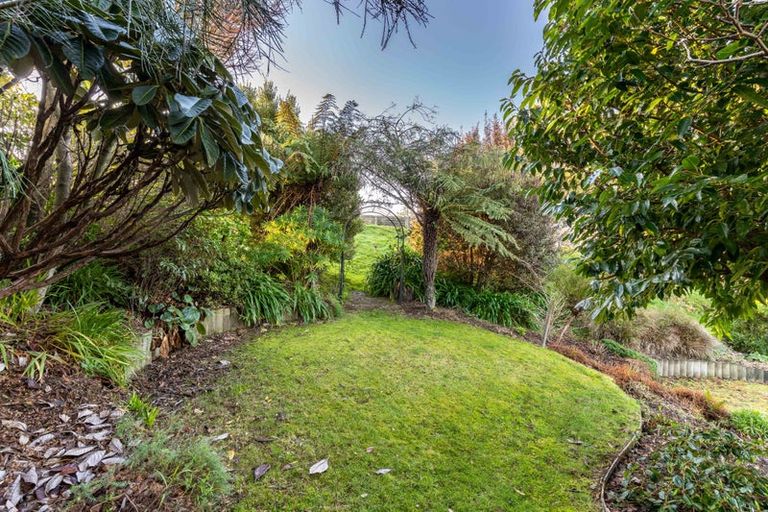 Photo of property in 135 Balmacewen Road, Wakari, Dunedin, 9010