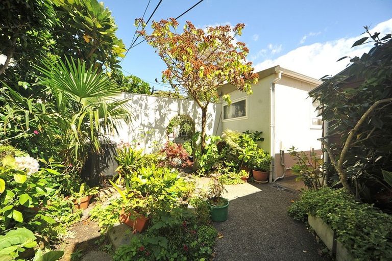 Photo of property in 53 Hawker Street, Mount Victoria, Wellington, 6011