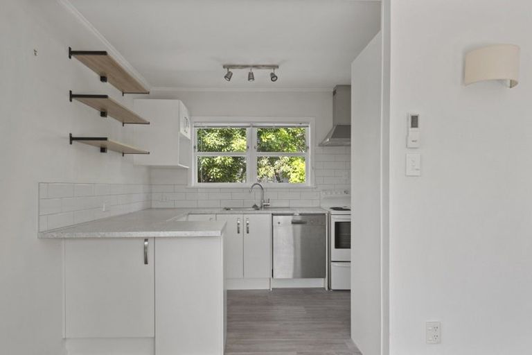 Photo of property in 51a Fitzroy Avenue, Fitzroy, Hamilton, 3206