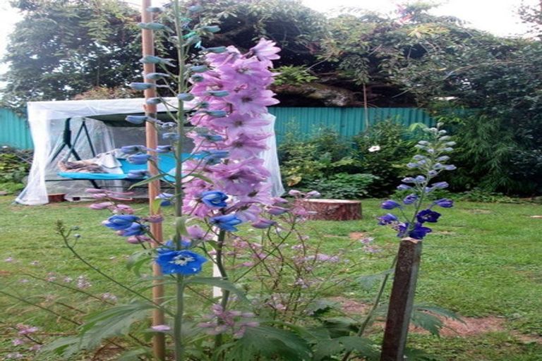 Photo of property in 43 Morero Terrace, Taumarunui, 3920