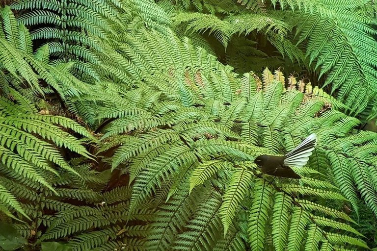 Photo of property in 44 Marama Avenue North, Otatara, Invercargill, 9879