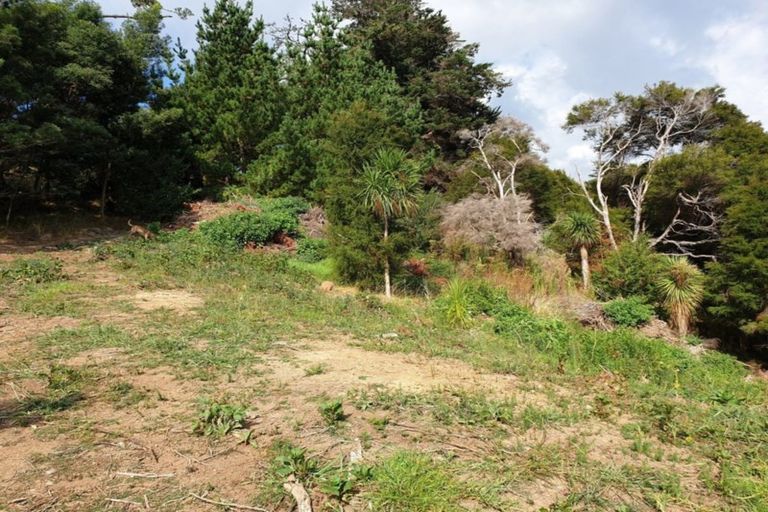 Photo of property in 312 Grafton Road, Thames, 3500