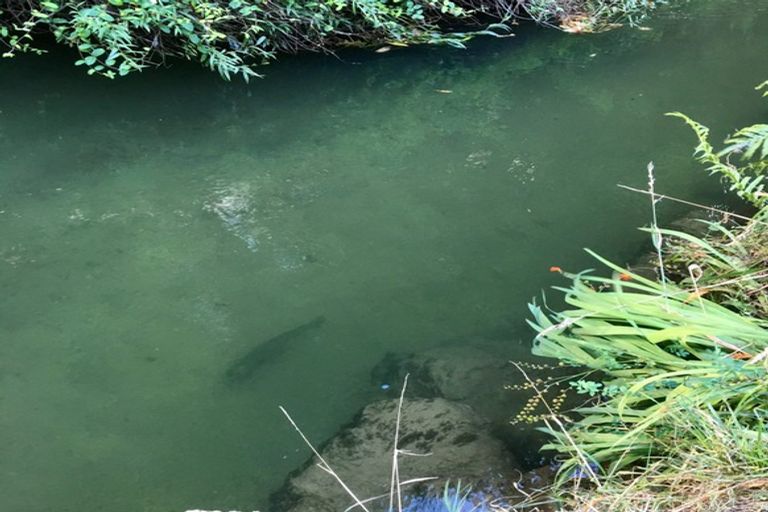 Photo of property in 13 La Trobe Place, Utuhina, Rotorua, 3015