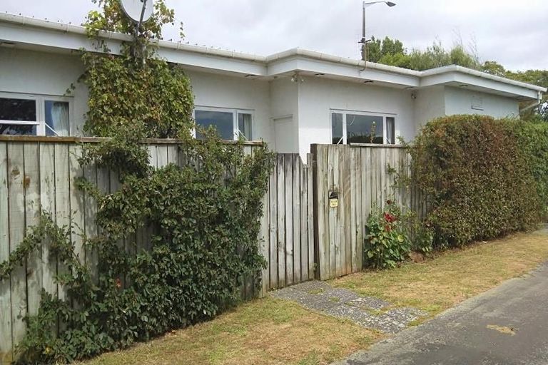 Photo of property in 87 Guy Avenue, Takaro, Palmerston North, 4410
