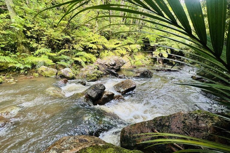 Photo of property in 275 Lillis Lane, Coromandel, 3506