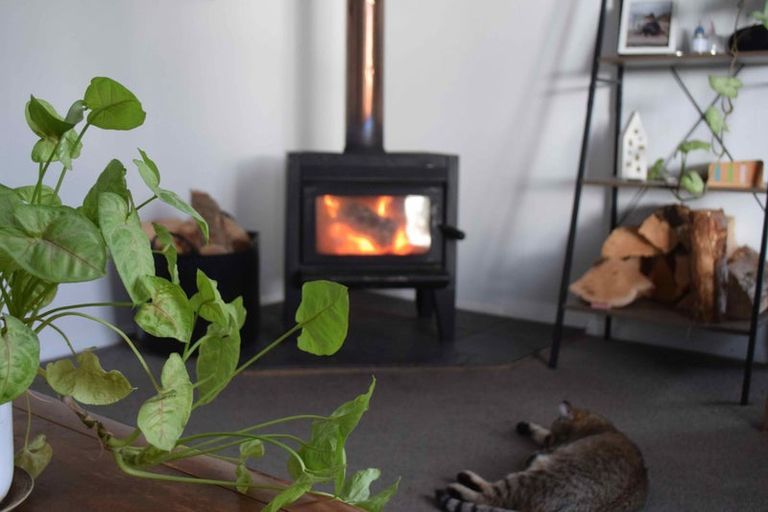 Photo of property in 22 Quarry Road, Green Island, Dunedin, 9018