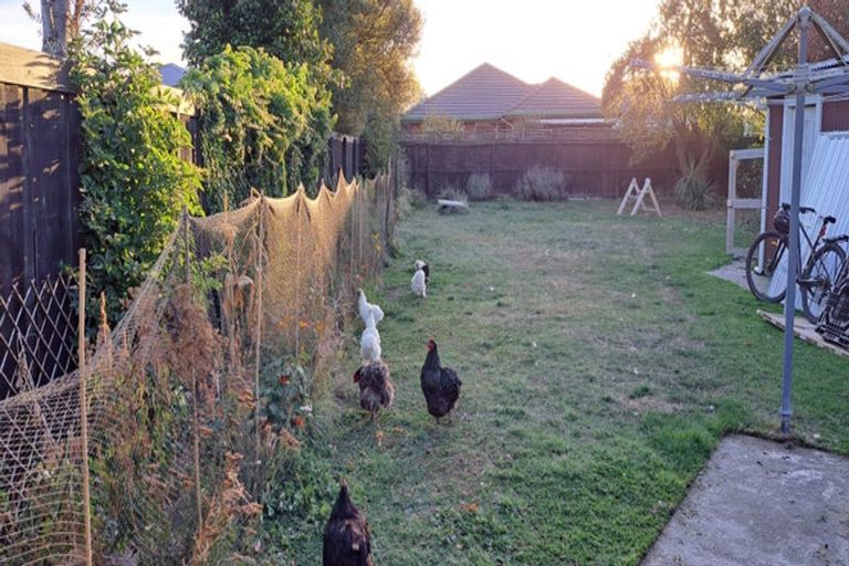 Photo of property in 57 Hounslow Street, Ilam, Christchurch, 8041