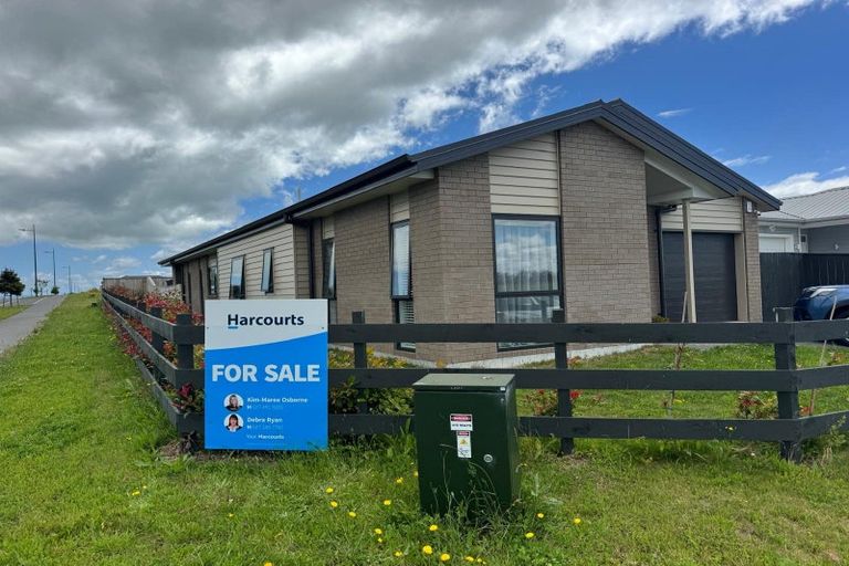 Photo of property in 115 Mutetai Road, Clarks Beach, 2122