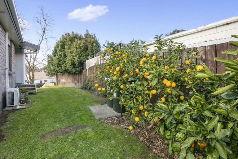 Photo of property in 4 Hansen Place, Katikati, 3129