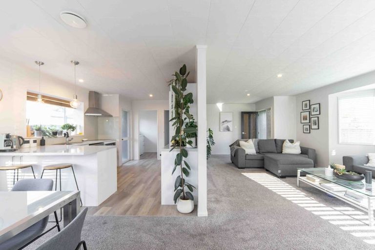 Photo of property in 33 Mckain Place, Fitzroy, Hamilton, 3206