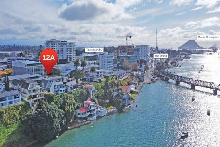 Photo of property in 12a First Avenue, Tauranga, 3110