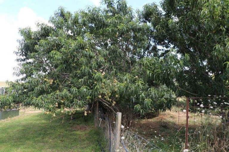 Photo of property in 883 Te Akau Road, Te Akau, Ngaruawahia, 3793