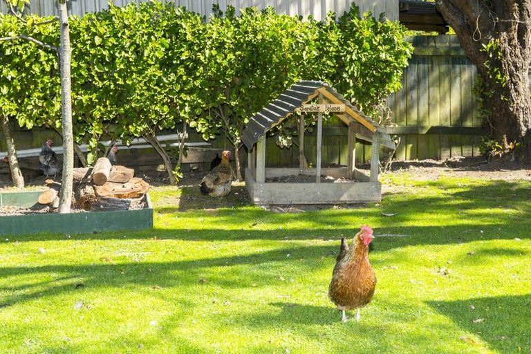 Photo of property in 81 Gemstone Drive, Birchville, Upper Hutt, 5018