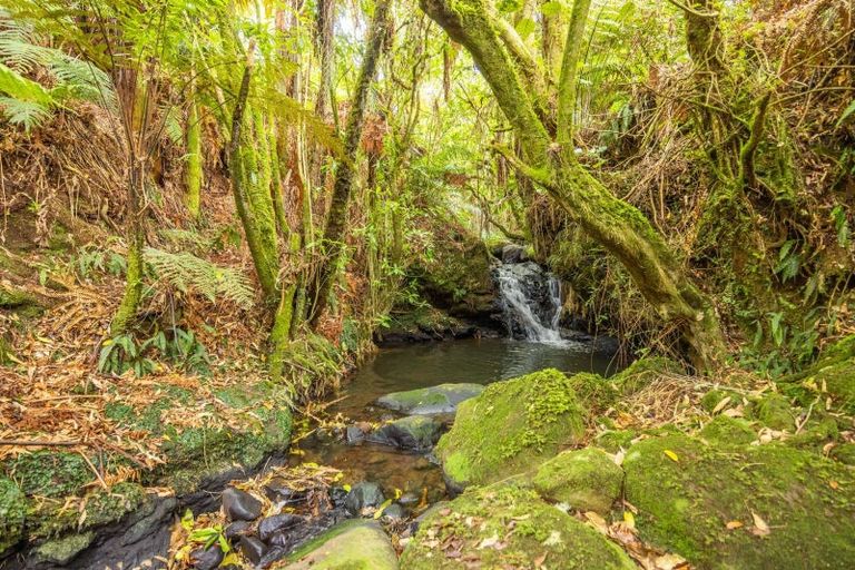Photo of property in 88 Scott Road, Puketotara, Te Awamutu, 3876