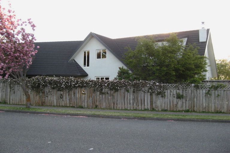 Photo of property in 314 Scott Street, Witherlea, Blenheim, 7201