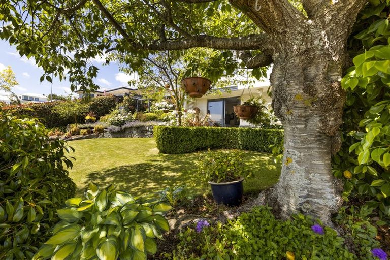 Photo of property in 28 Elisha Drive, Witherlea, Blenheim, 7201