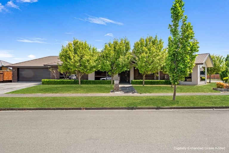 Photo of property in 47 Geneva Terrace, Kelvin Grove, Palmerston North, 4414