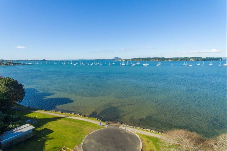 Photo of property in 16 Beach Grove, Omokoroa, 3114