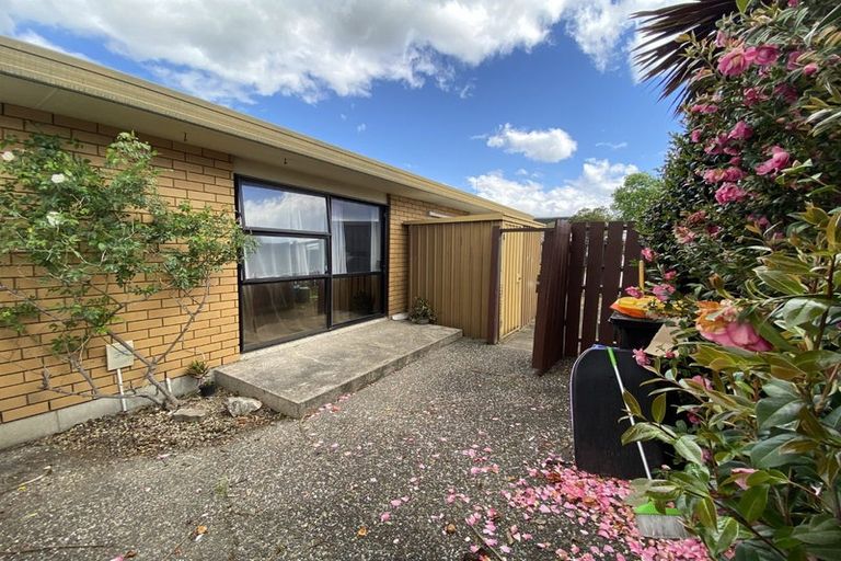 Photo of property in 1/742 Cameron Road, Tauranga South, Tauranga, 3112