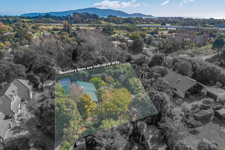 Photo of property in 15 Alexander Street, Waikanae, 5036