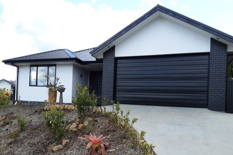Photo of property in 50 Albert Road, Warkworth, 0984