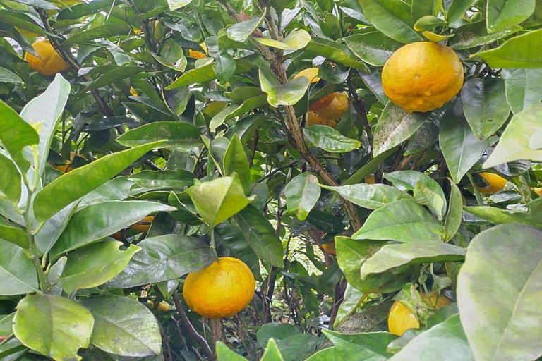 Photo of property in 13 Tawhai Street, Stokes Valley, Lower Hutt, 5019