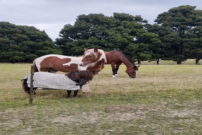 Photo of property in 12 Fairfield Street, Brightwater, 7022